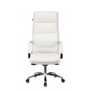 Ղեկավարի աթոռ Burocrat, T-9927SL ||Кресло руководителя Burocrat, T-9927SL ||Executive chair Burocrat, T-9927SL