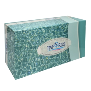 Անձեռոցիկ տուփով Papyrus 2 շերտ 200 հատ ||Папирус в папиросной коробке 2 слоя по 200 шт. || Papyrus in a tissue box 2 layers of 200 pcs.