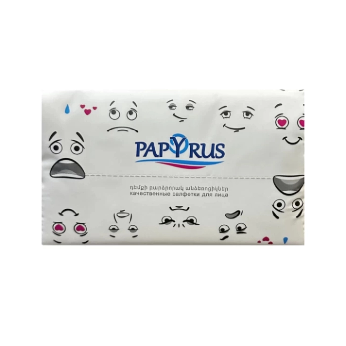 Անձեռոցիկ Papyrus 2 շերտ 200 հատ ||Салфетка Papyrus 2 слоя 200 шт. ||Wipe Papyrus 2 layers 200 pcs
