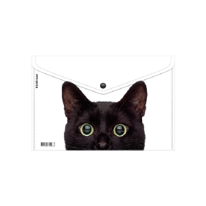 Թղթապանակ կոճակով ErichKrause Hiding Cats A4 61155 ||Папка-конверт на кнопке пласт. ErichKrause Hiding Cats A4 61155 ||Envelope folder on the button ErichKrause Hiding Cats A4 61155