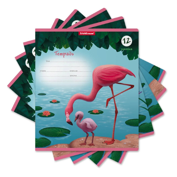 Տետր տողանի ErichKrause Flamingo 12 թերթ 54184 ||Тетрадь в строку ErichKrause Flamingo 12 листов 54184 ||Notebook lines ErichKrause Flamingo 12 sheets 54184