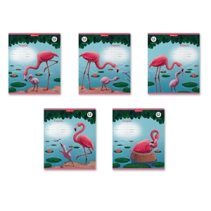 Տետր տողանի ErichKrause Flamingo 12 թերթ 54184 ||Тетрадь в строку ErichKrause Flamingo 12 листов 54184 ||Notebook lines ErichKrause Flamingo 12 sheets 54184