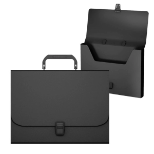 Թղթապանակ-պայուսակ ErichKrause Matt Classic A4 50434 ||Портфель пластиковый ErichKrause Matt Classic A4 50434 ||Portfolio folder ErichKrause Matt Classic A4 50434 
