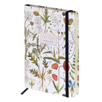 Նոթատետր B&V MEGAPOLIS A5 100 թերթ 